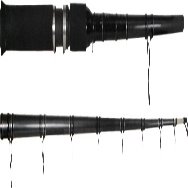 Can Sil Wildcat Tutta