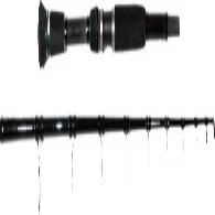 milo-canne-siluro-Satanika-Cat_puoellf1