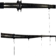 Can Car Kamaleon Carp Tutta