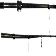 Can Car Kamaleon Carp Tutta