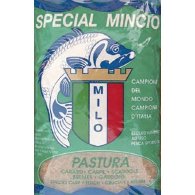 dir-milo-esche-e-pasture-pasture-special-mincio