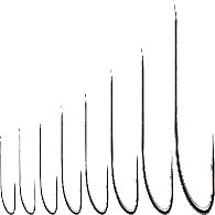 Ami Suehiro R163 Tutti