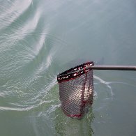 Testa-Latex-Net-01-1024x683