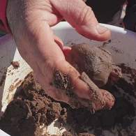 FB_IMG_1617722648623