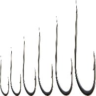 Ami Suehiro S115 Tutti