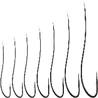 Ami Suehiro S364 Tutti