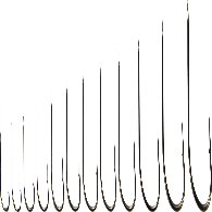 Ami Suehiro T116 Tutti