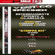 Roub Vertigo Specimen s