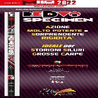 Roub Redvo Specimen S