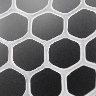 Testa Guadino Trout Area Rete