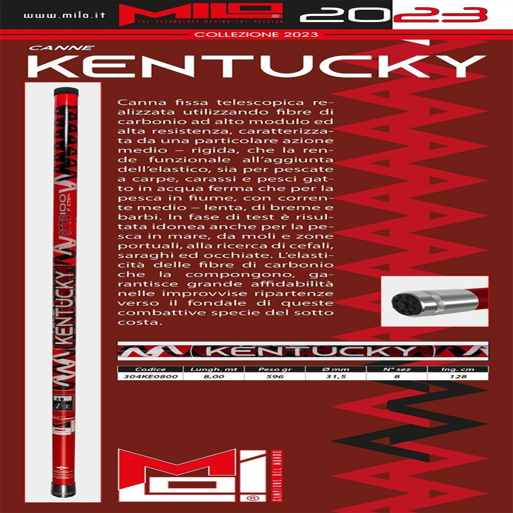 Canne Kentucky S