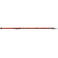 Canna Bolognese MILO KOR  Montata