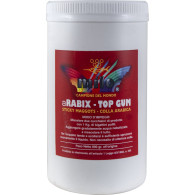 COLLA ARABIX TOP GUM 800 gr     624VV1003