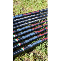 Canna NEW ERA POWER TROUT L.D./S.D.