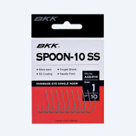 AMI BKK SPOON-10 SS   conf 10pz
