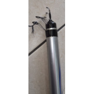 Canna Bolognese FRIENDSHIP  Mont. mt 6.00