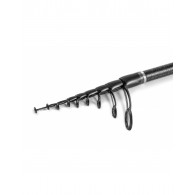 CANNA RAPTURE BIG TROUT