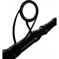 CANNA GLADIATORE STURGEON 4.20Mt