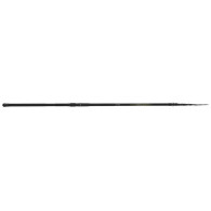 CIMA CANNA TUBERTINI BESTER STURGEON