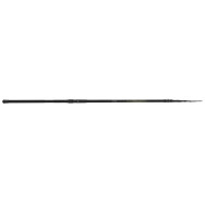 CIMA CANNA TUBERTINI BESTER STURGEON