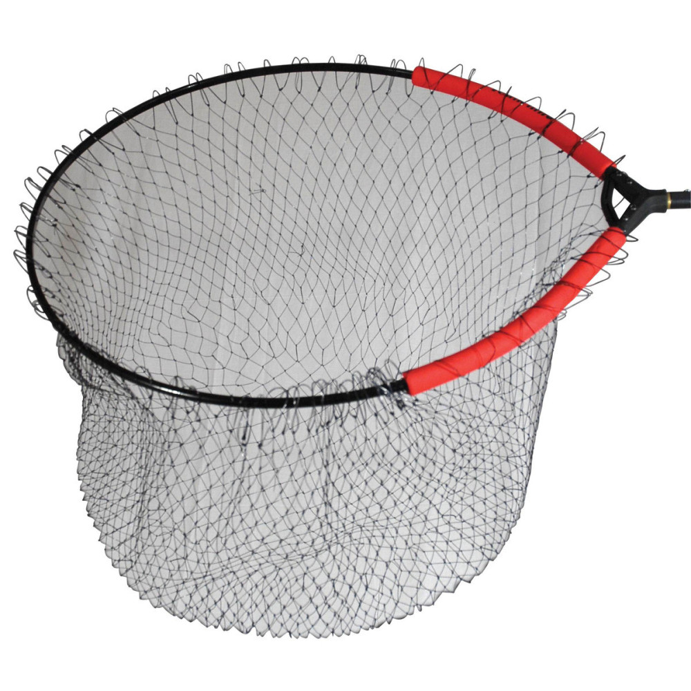 Testa Guad Phantasm Ovale